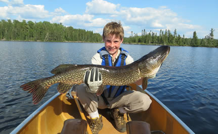 Mason's 36 inch Northern Pike